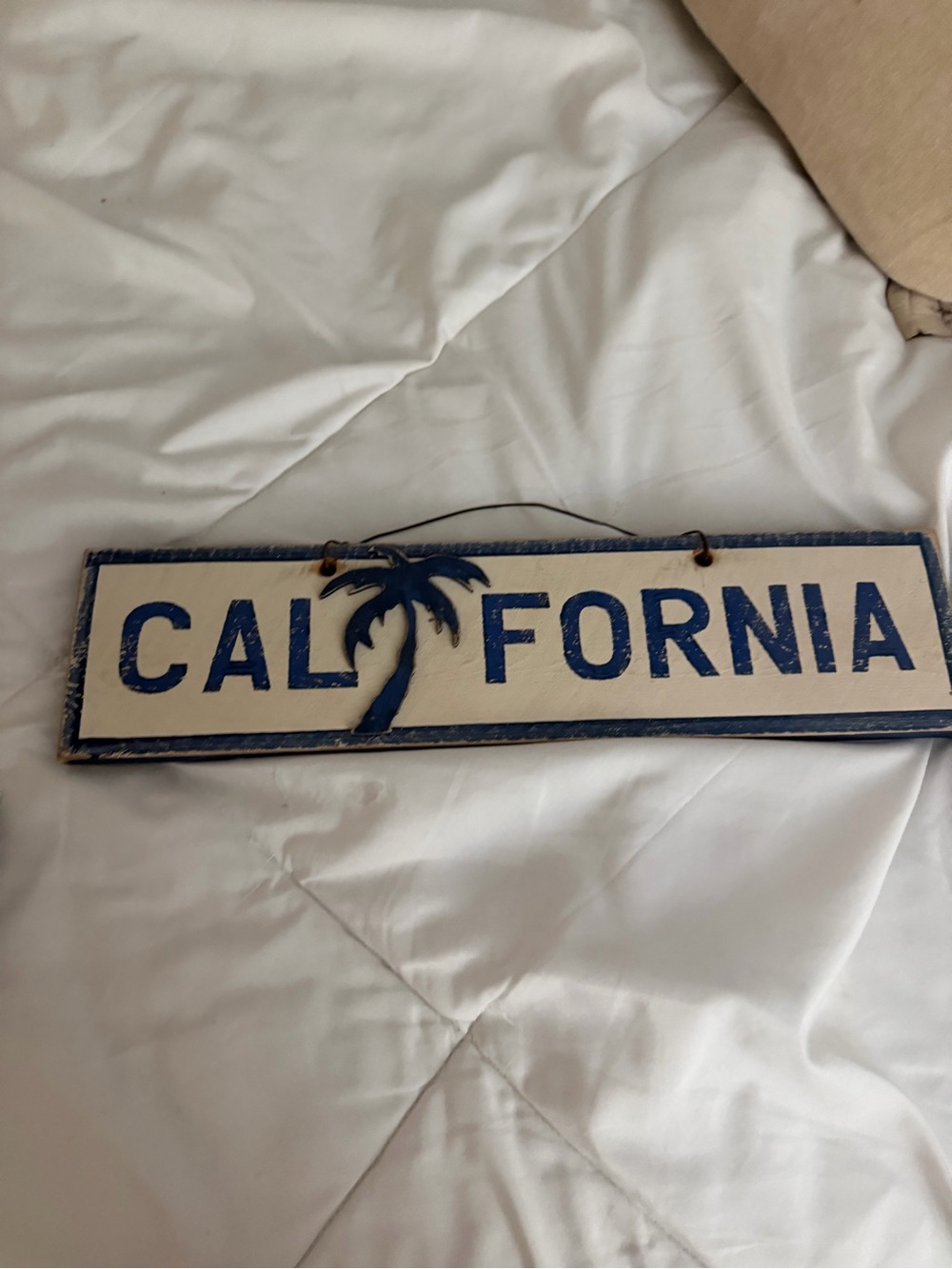 Brandy Melville California Palm Sign - Blue and Cream